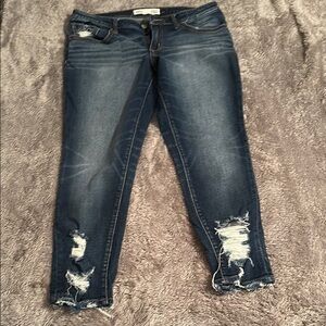 Stylish Blue Distressed Jeans Brand: BKE. Slim fit. Low rise. Ankle skinny